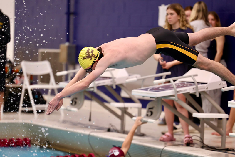 ferndale swimmer dives in