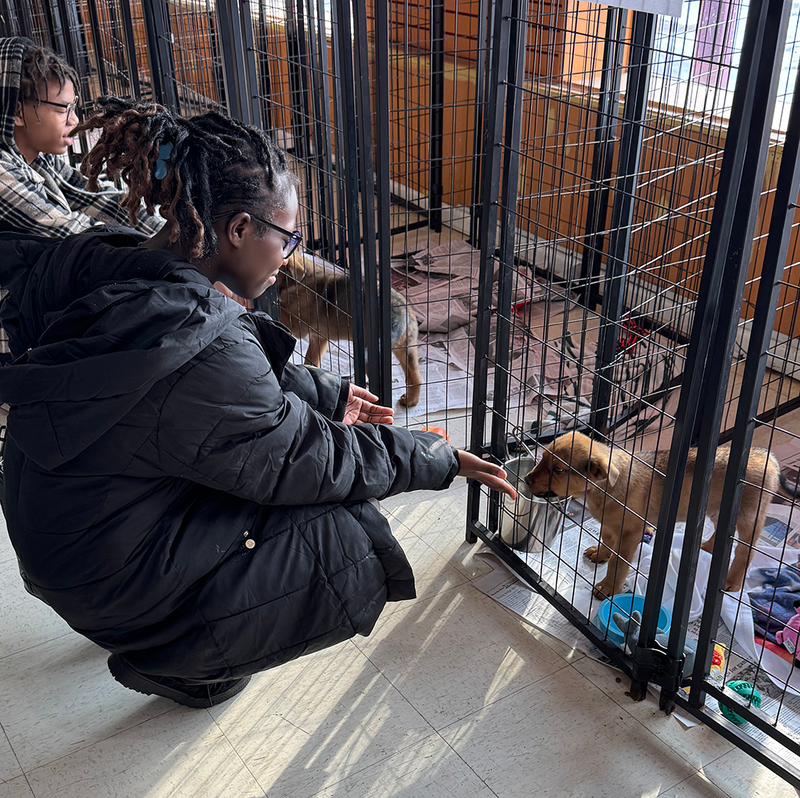 UHS student volunteers support animal welfare society