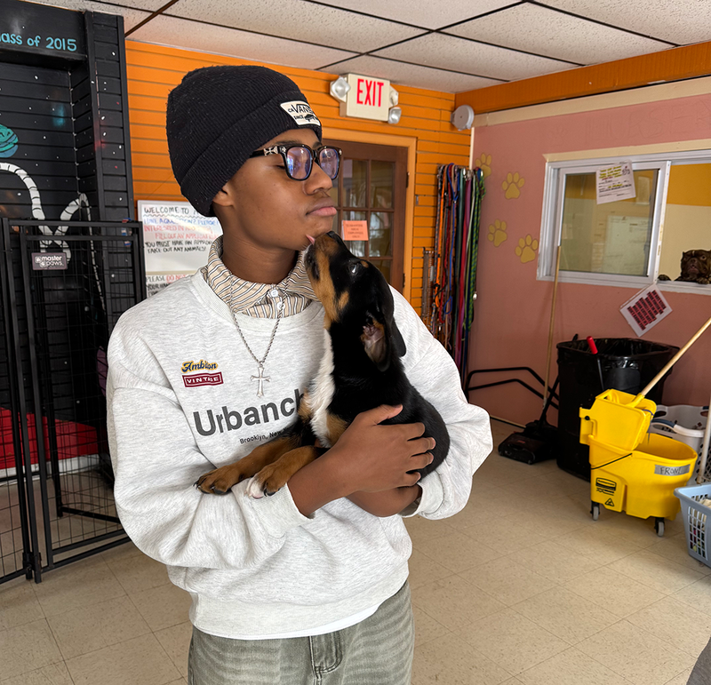 UHS student volunteers support animal welfare society