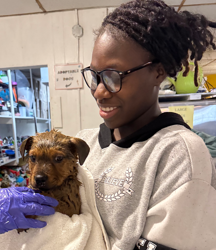 UHS student volunteers support animal welfare society