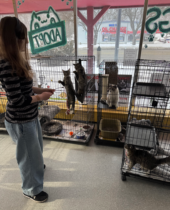 UHS student volunteers support animal welfare society