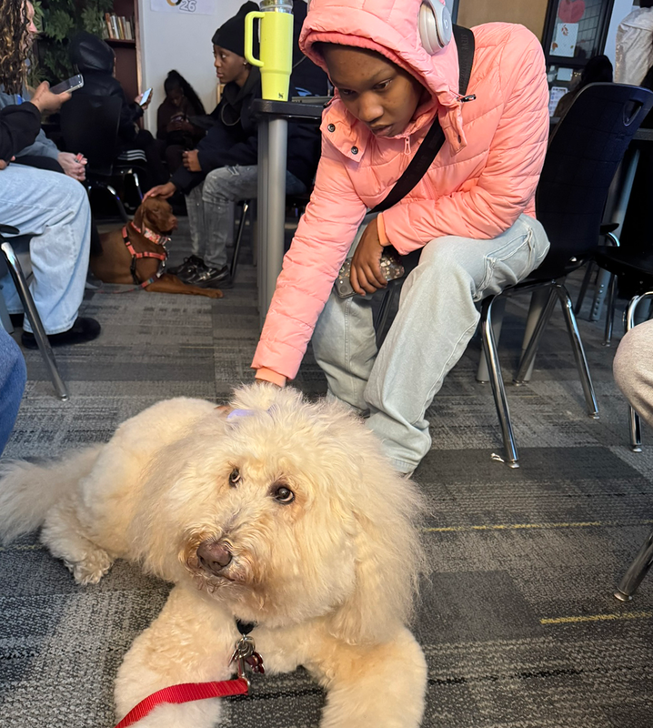 students visit with pets during Wellness Day at UHS