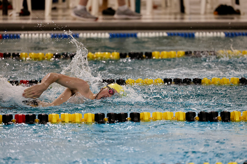 Ferndale swimmers tear through the water.