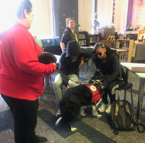 therapy dog visits TCEC