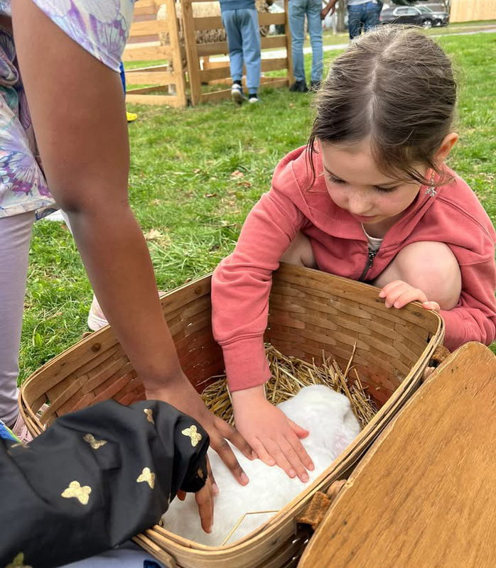 farm animals visits Ferndale Lower Elementary for hands-on learning experience