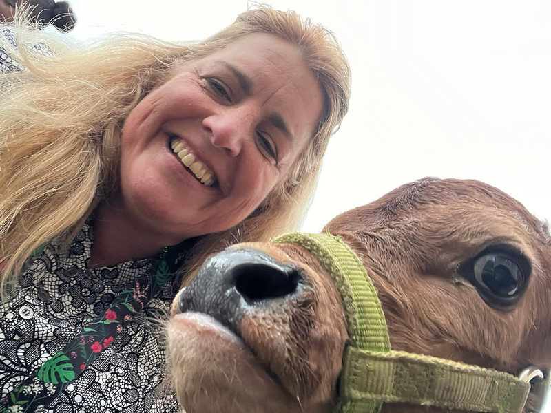 farm animals visits Ferndale Lower Elementary for hands-on learning experience