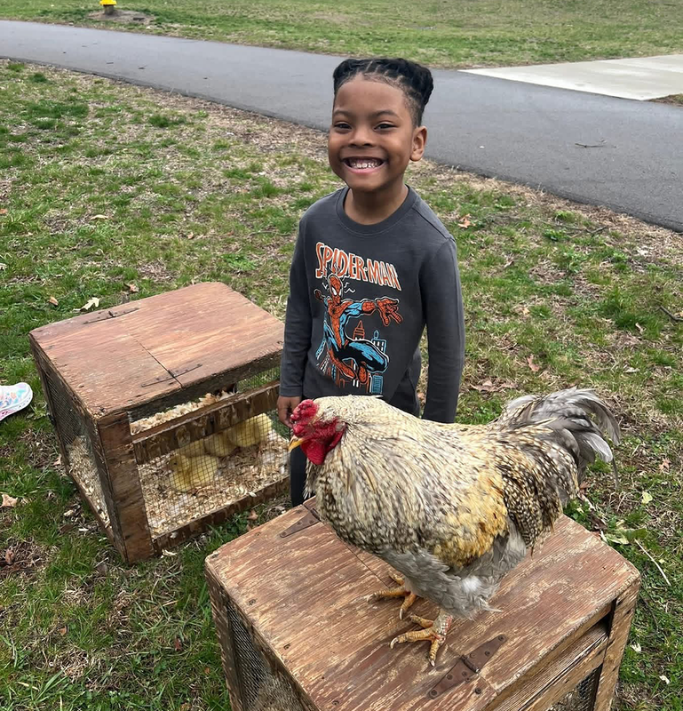 farm animals visits Ferndale Lower Elementary for hands-on learning experience