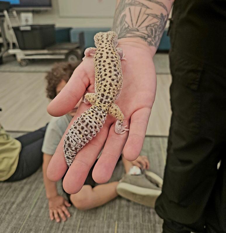 students interact with lizards