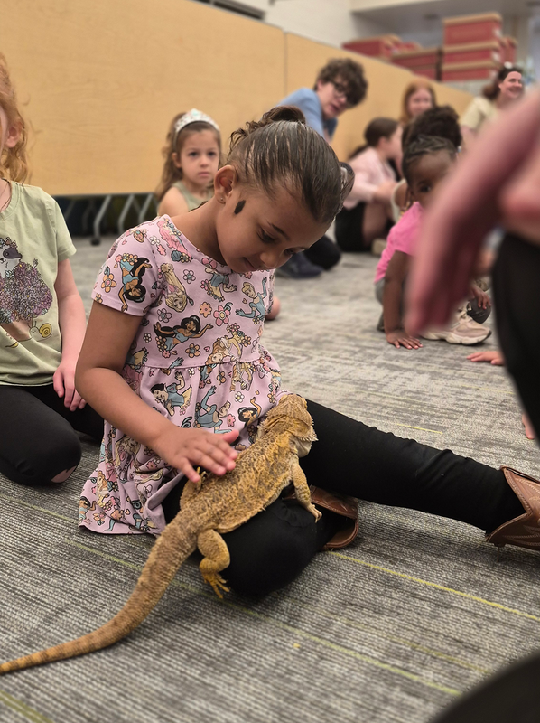 students interact with lizards