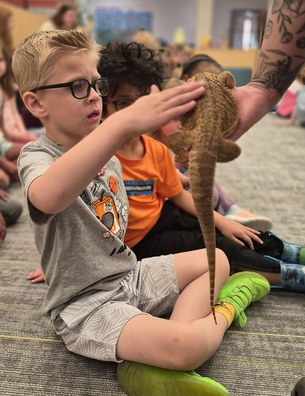 students interact with lizards