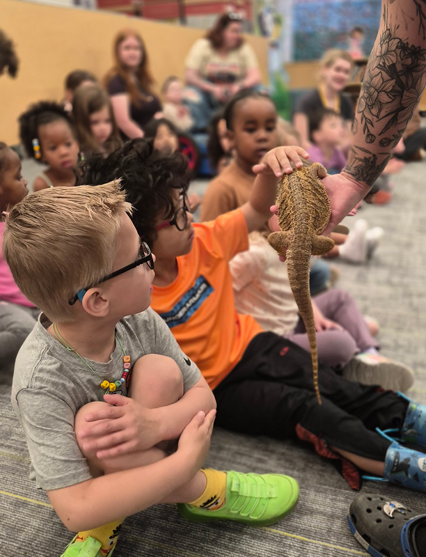 students interact with lizards
