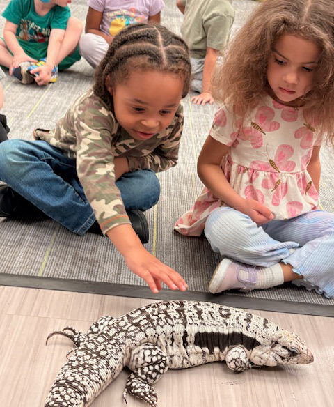 lizards visit FECC