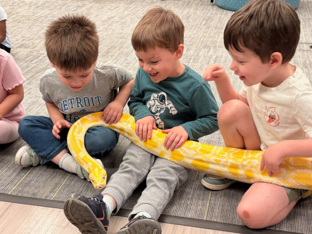 lizards visit FECC