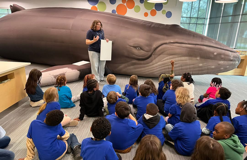 chunk the whale visits Ferndale Elementaries