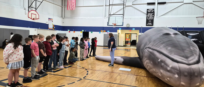 chunk the whale visits Ferndale Elementaries