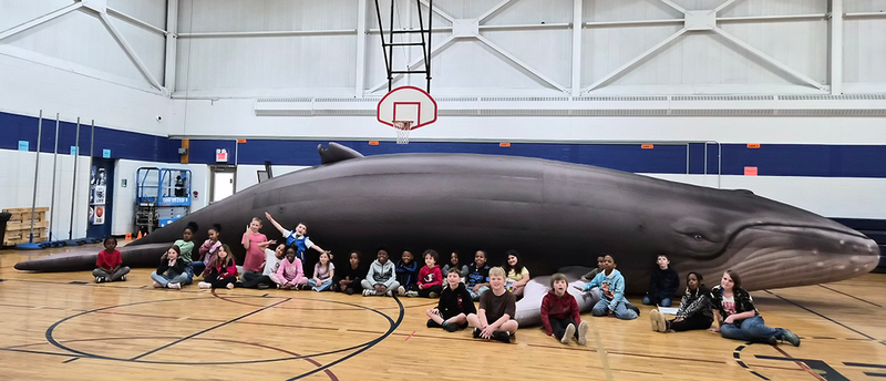chunk the whale visits Ferndale Elementaries