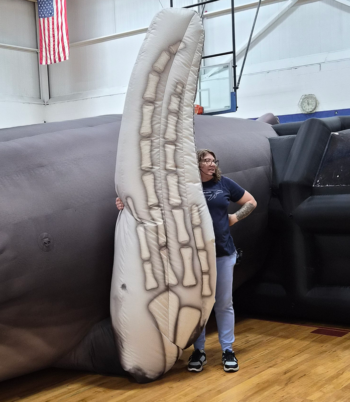 chunk the whale visits Ferndale Elementaries