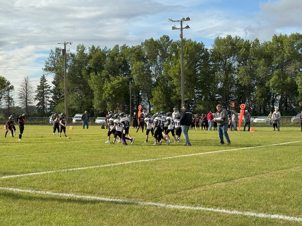 Little Stingers