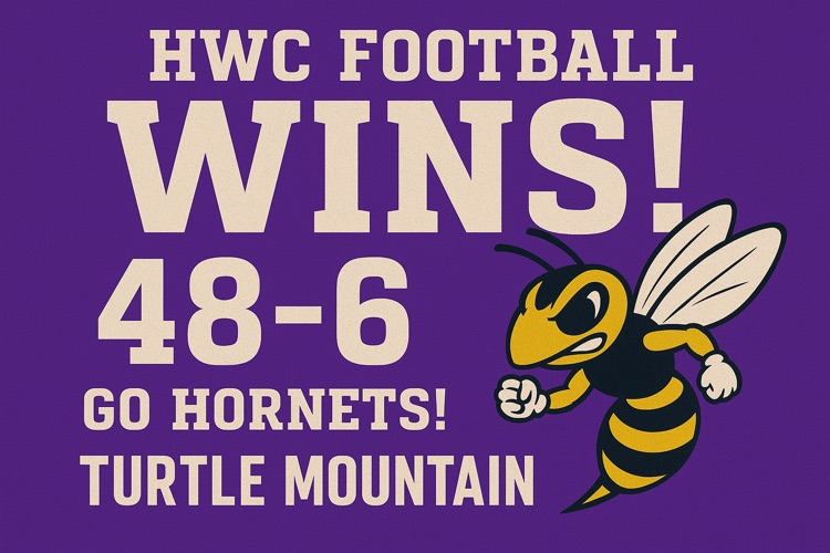hornets