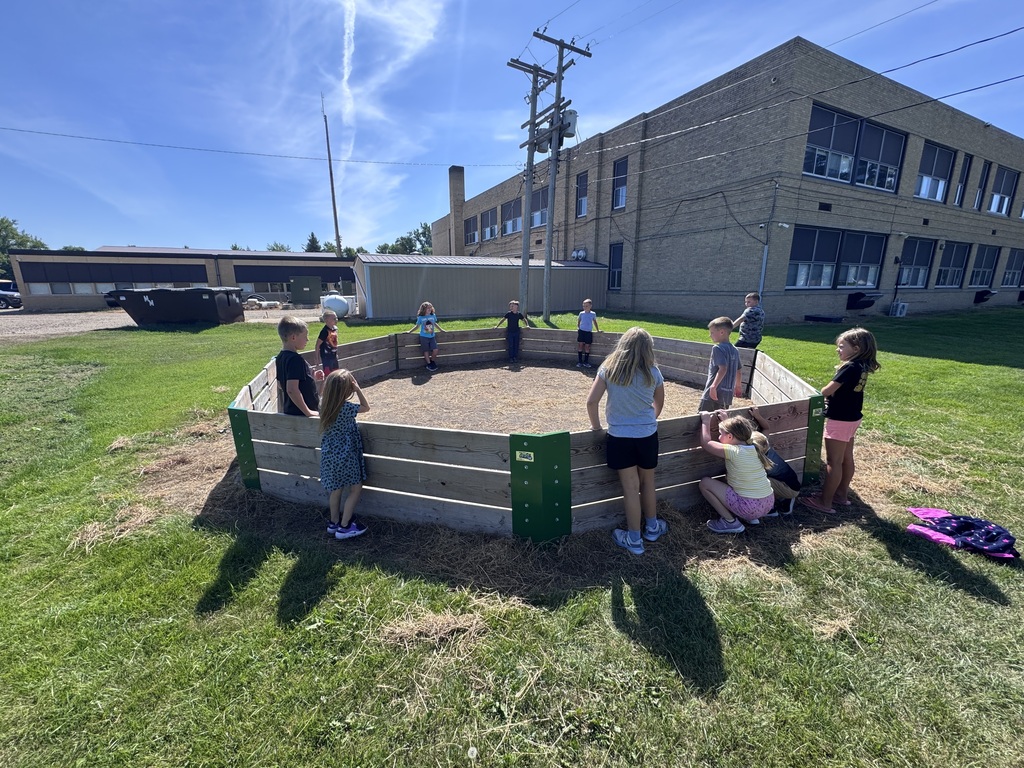 Gaga ball