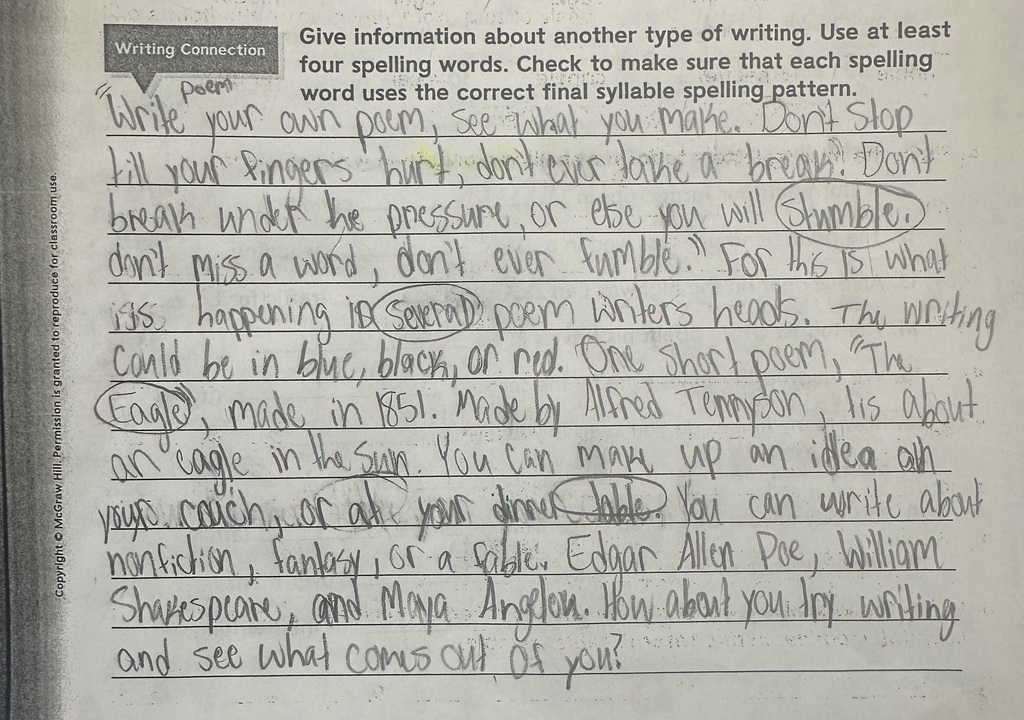 Stella’s Writing