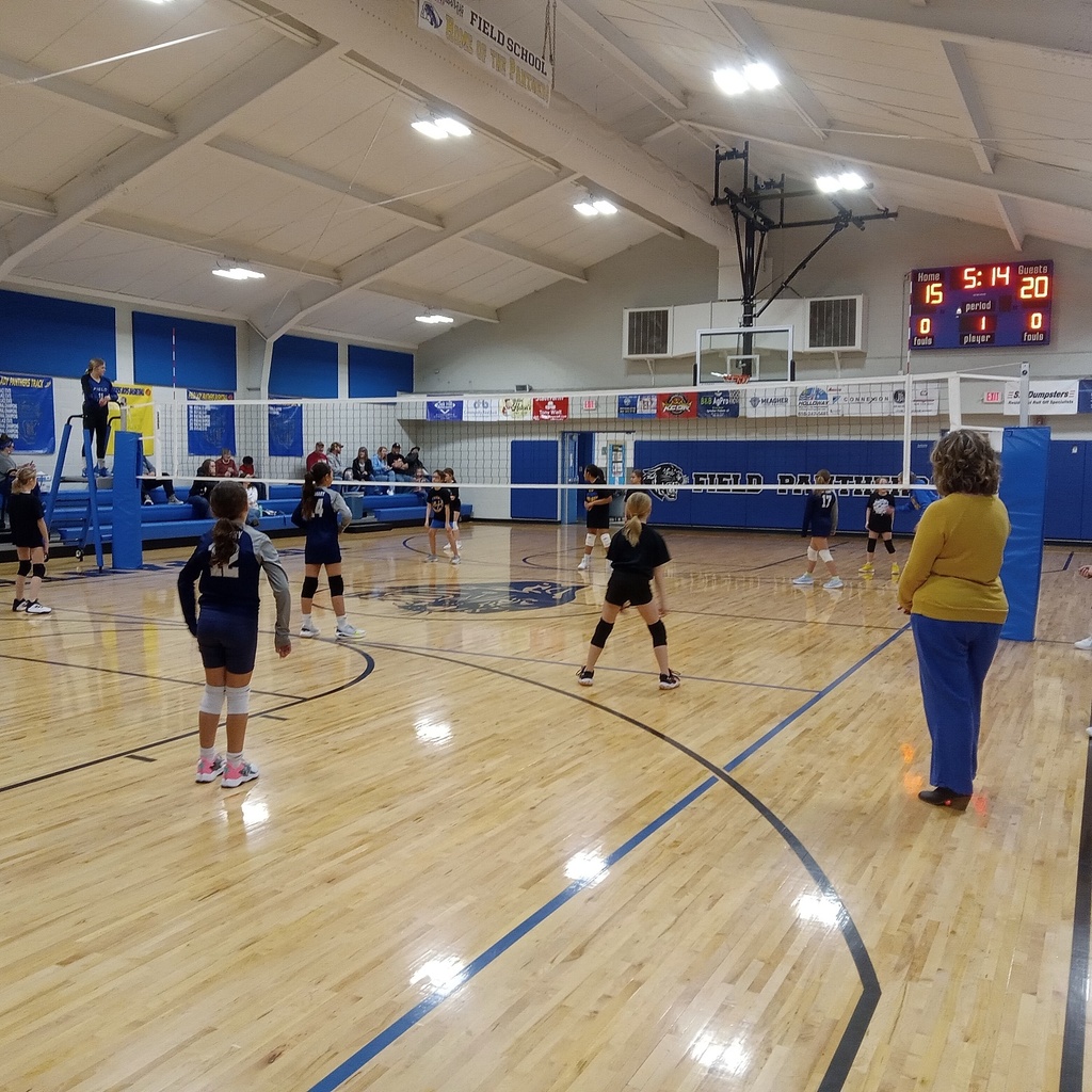 Volleyball pic action
