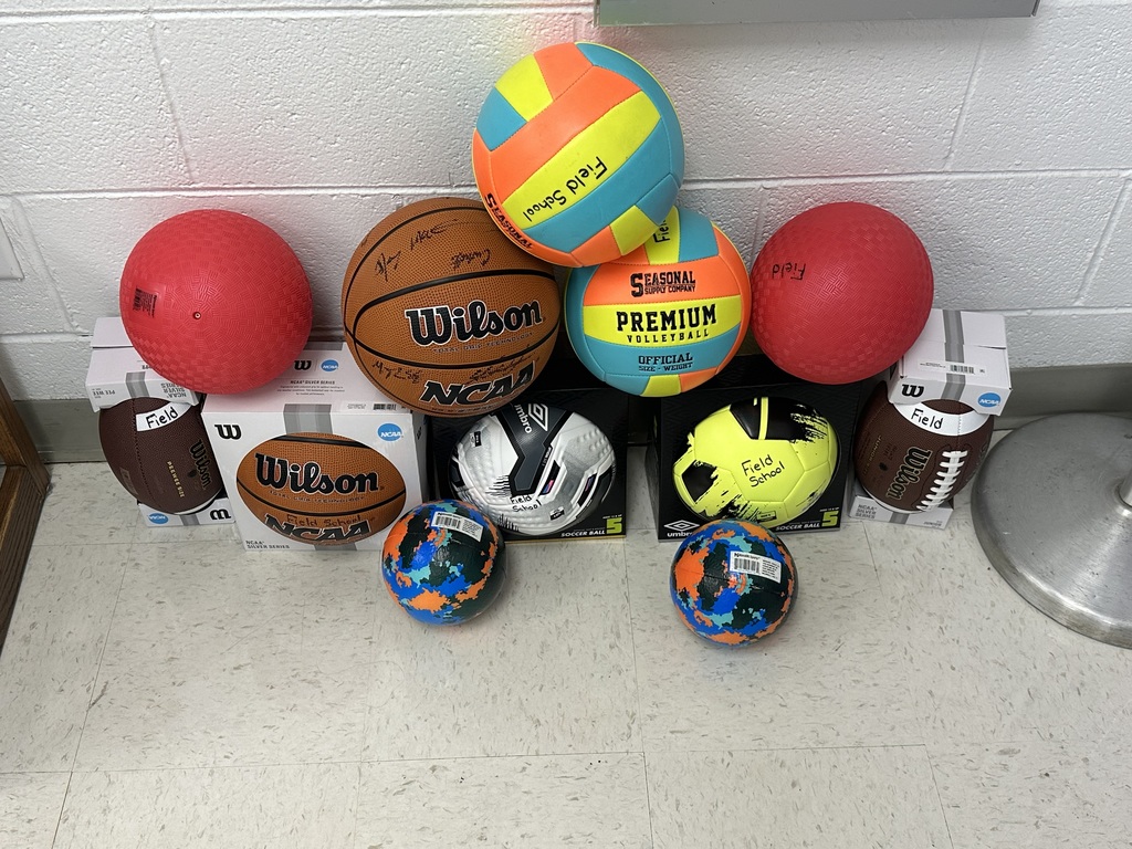 Picture of Recess Balls