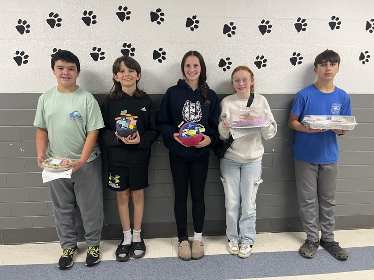 7th Grade Cell Project