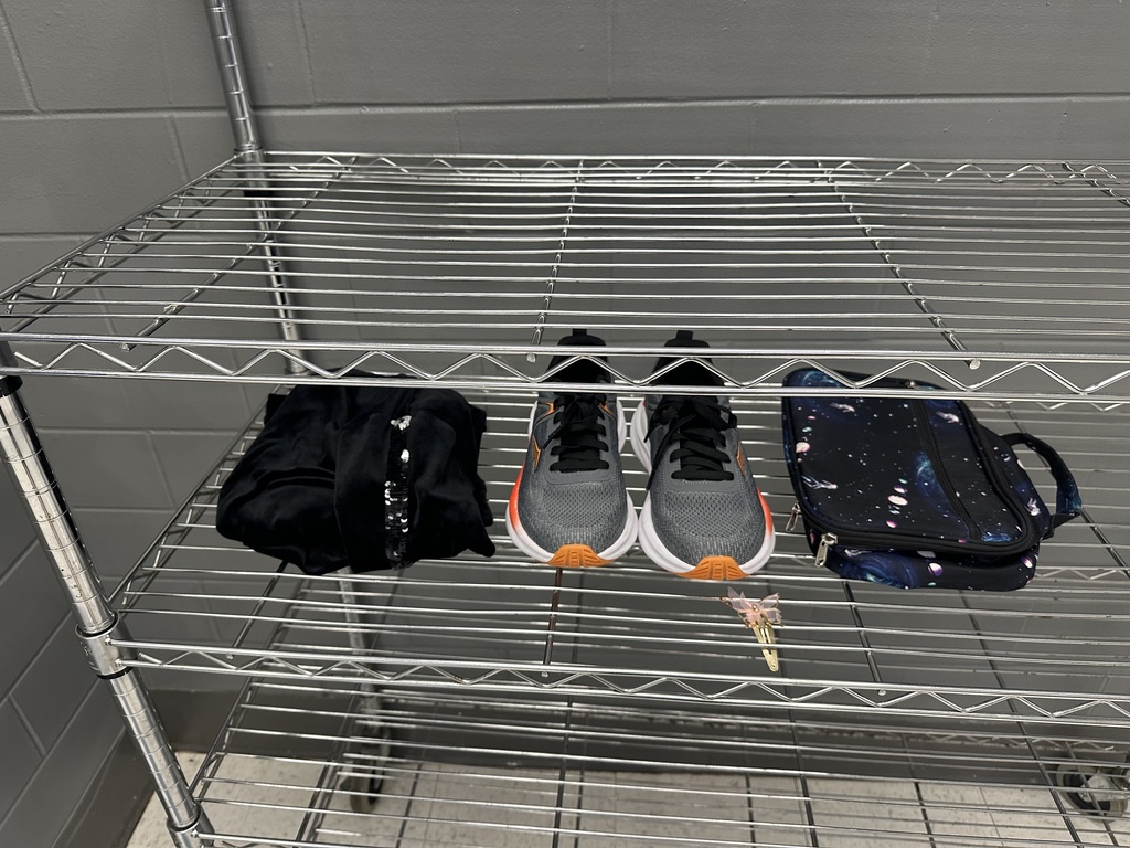Week 2 Lost and Found Pic