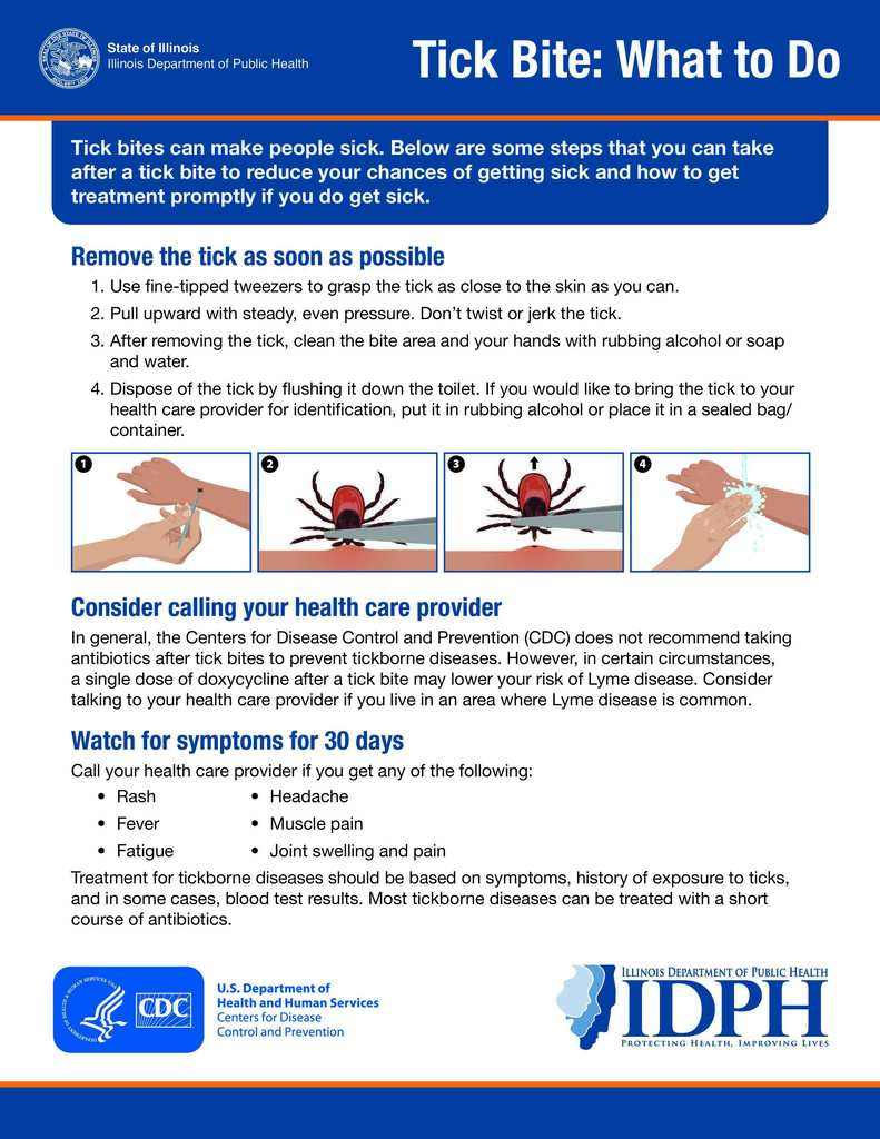 Tick Bite: What to Do Flyer