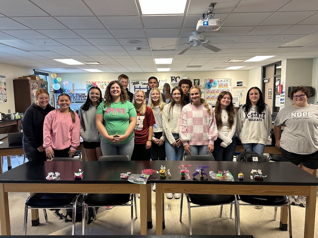 Our Human Anatomy & Physiology students got creative with Play-Doh and craft materials to build detailed models of the skin and its structures!