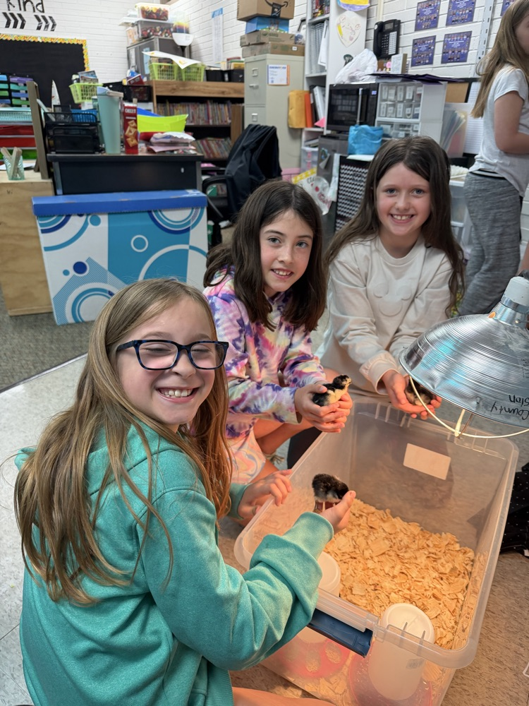 embryology unit in 3rd grade