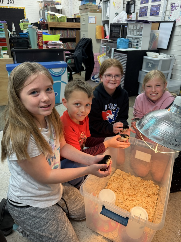 embryology unit in 3rd grade