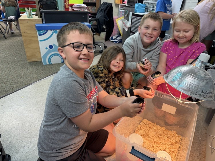 embryology unit in 3rd grade