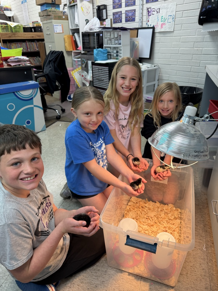 embryology unit in 3rd grade