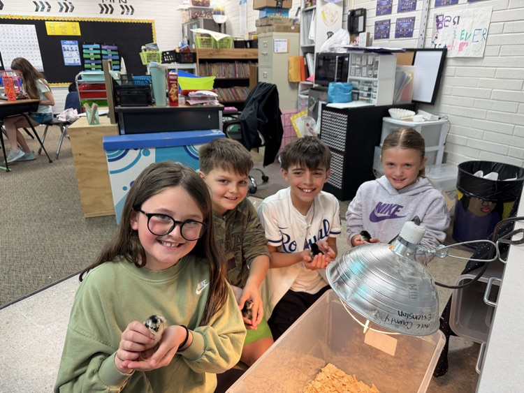 embryology unit in 3rd grade