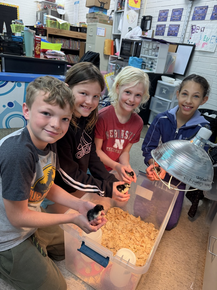 embryology unit in 3rd grade