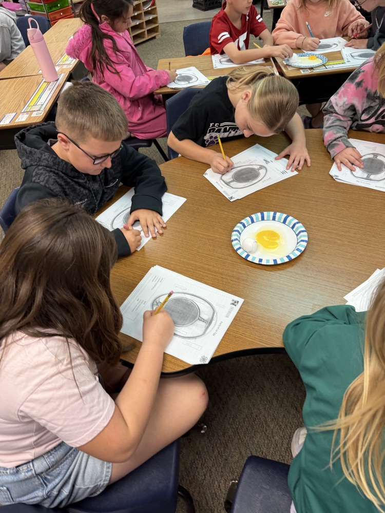 embryology unit in 3rd grade