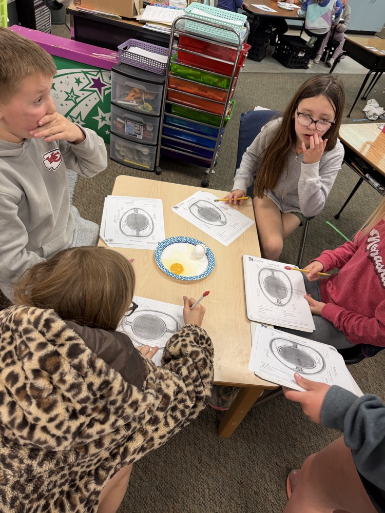 embryology unit in 3rd grade