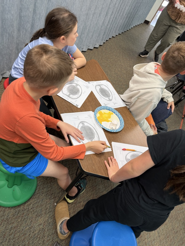 embryology unit in 3rd grade