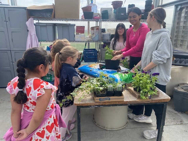 First grade learning about plants.
