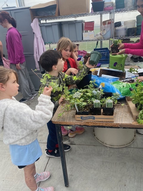 First grade learning about plants.