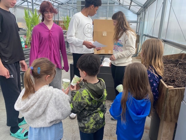 First grade learning about plants.