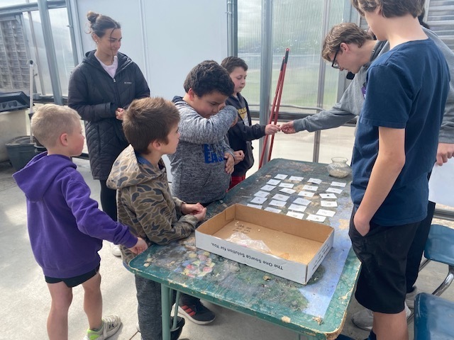 First grade learning about plants.