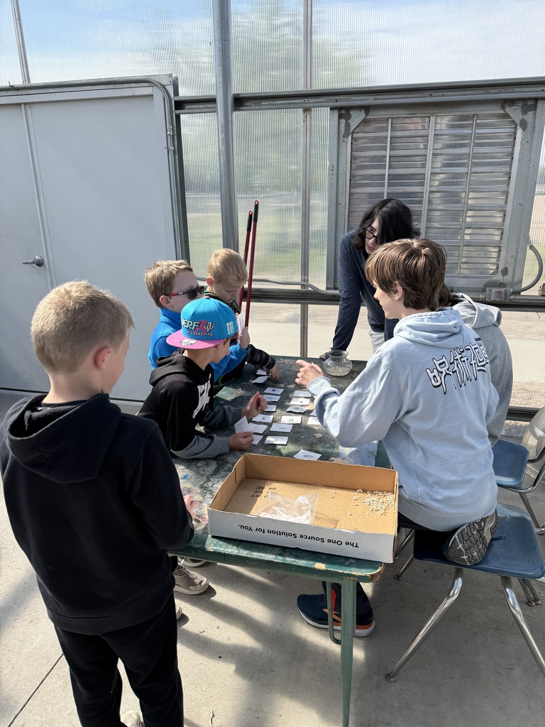 First grade learning about plants.