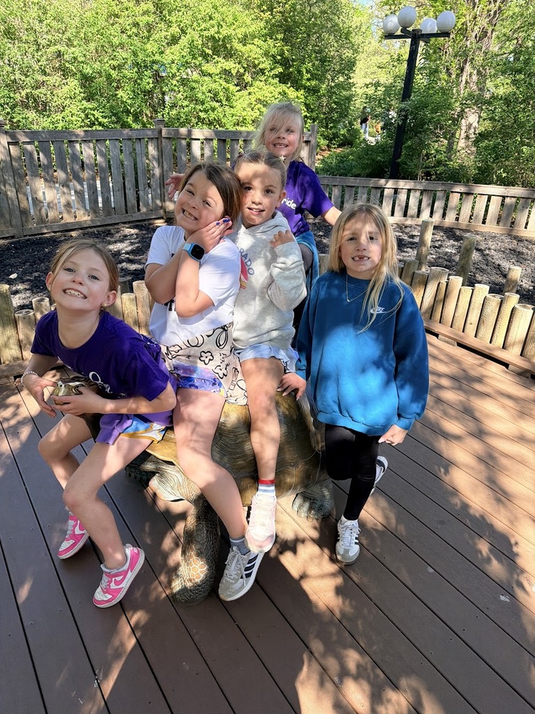 First grade field trip to the children's zoo.