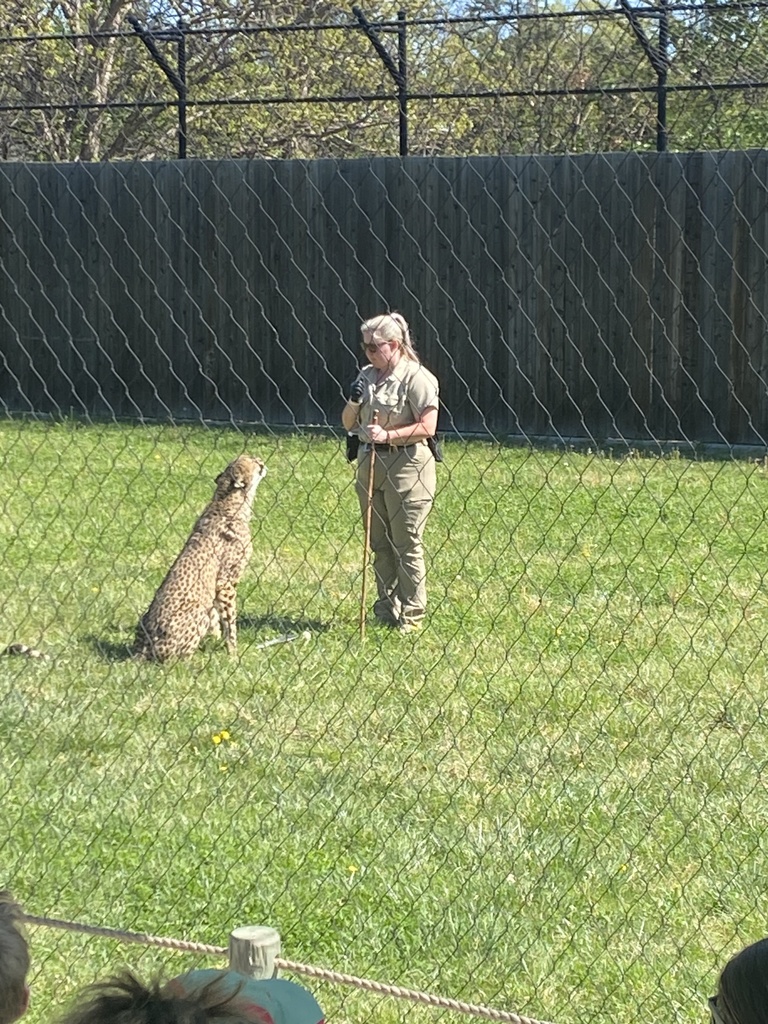 First grade field trip to the children's zoo.