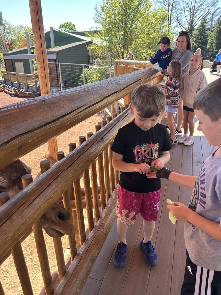 First grade field trip to the children's zoo.