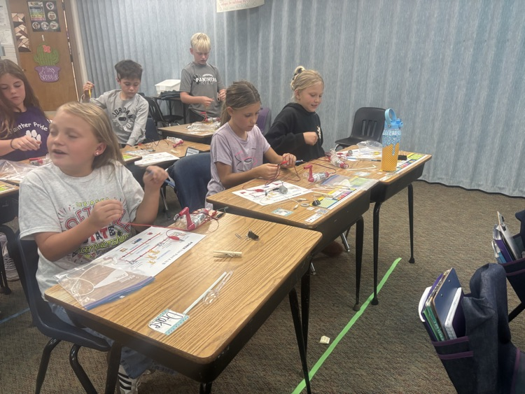 3rd grade electricity unit.