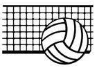 VB